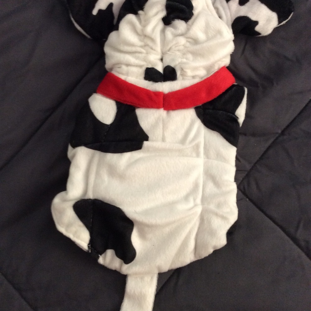Halloween - 3 costumes for small dogs